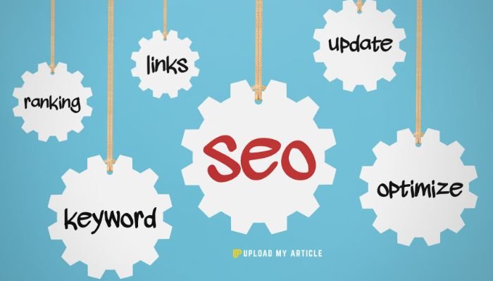 zingyzon seo